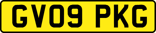 GV09PKG