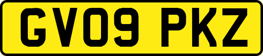 GV09PKZ