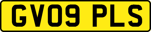 GV09PLS