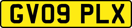 GV09PLX