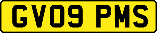 GV09PMS