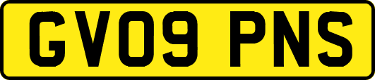 GV09PNS