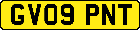 GV09PNT