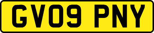 GV09PNY