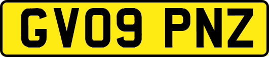 GV09PNZ