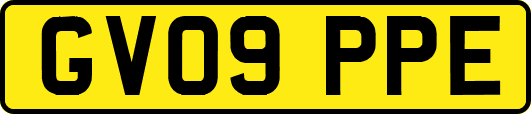 GV09PPE