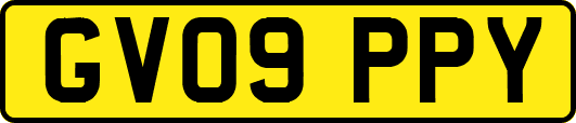 GV09PPY