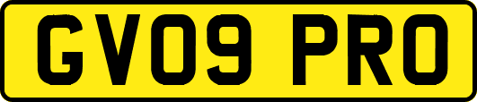GV09PRO