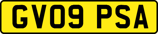GV09PSA