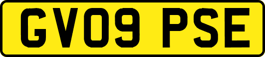 GV09PSE