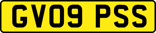 GV09PSS