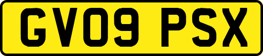 GV09PSX