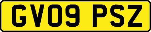 GV09PSZ