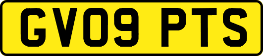 GV09PTS