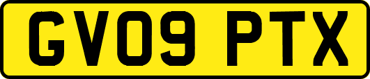 GV09PTX