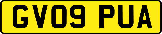 GV09PUA