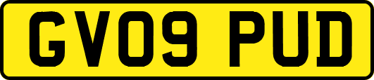 GV09PUD