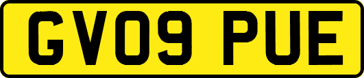 GV09PUE