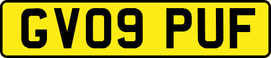 GV09PUF