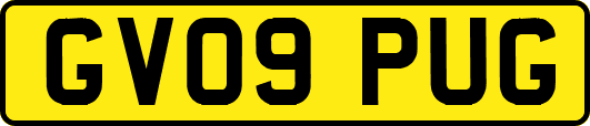 GV09PUG