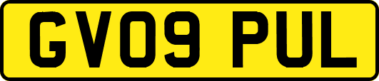 GV09PUL