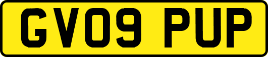 GV09PUP