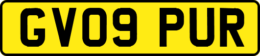 GV09PUR