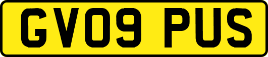 GV09PUS