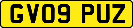 GV09PUZ