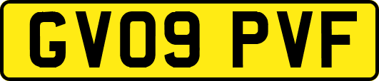 GV09PVF