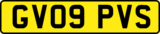 GV09PVS