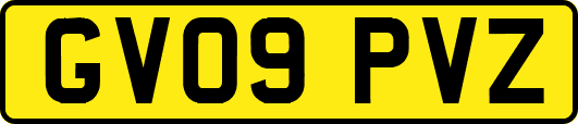 GV09PVZ