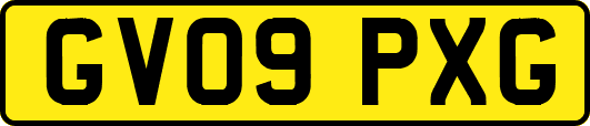 GV09PXG