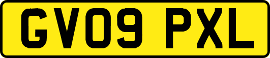GV09PXL