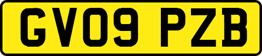 GV09PZB