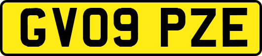 GV09PZE