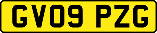 GV09PZG