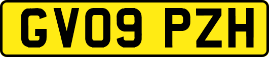 GV09PZH
