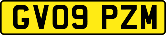 GV09PZM