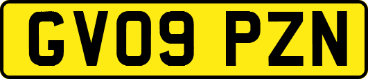 GV09PZN