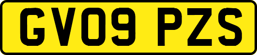 GV09PZS