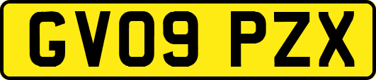 GV09PZX