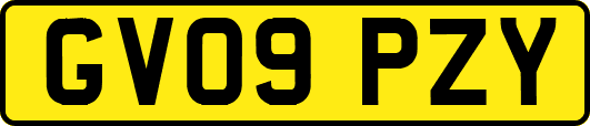 GV09PZY