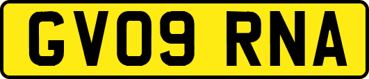 GV09RNA