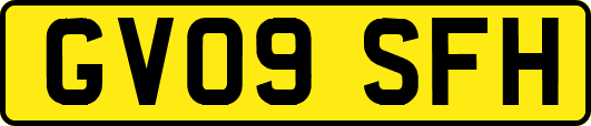 GV09SFH