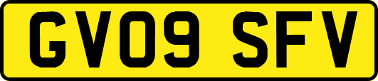 GV09SFV