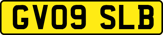 GV09SLB