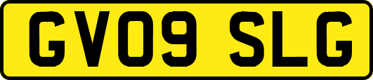 GV09SLG