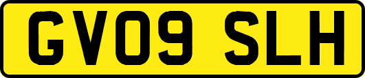 GV09SLH