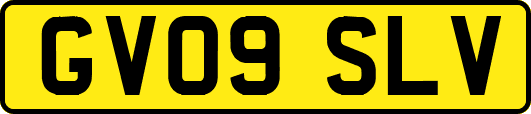 GV09SLV